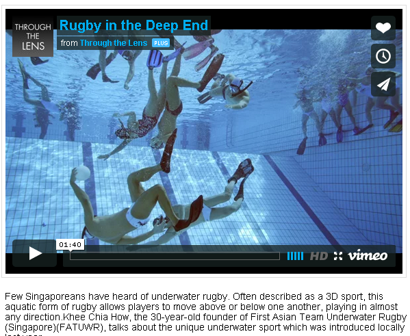 The_Straits_Times feature